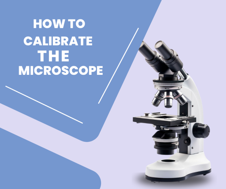 post cover for the calibration of microscope