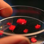 Potassium dichromate (K₂Cr₂O₇) standard solution